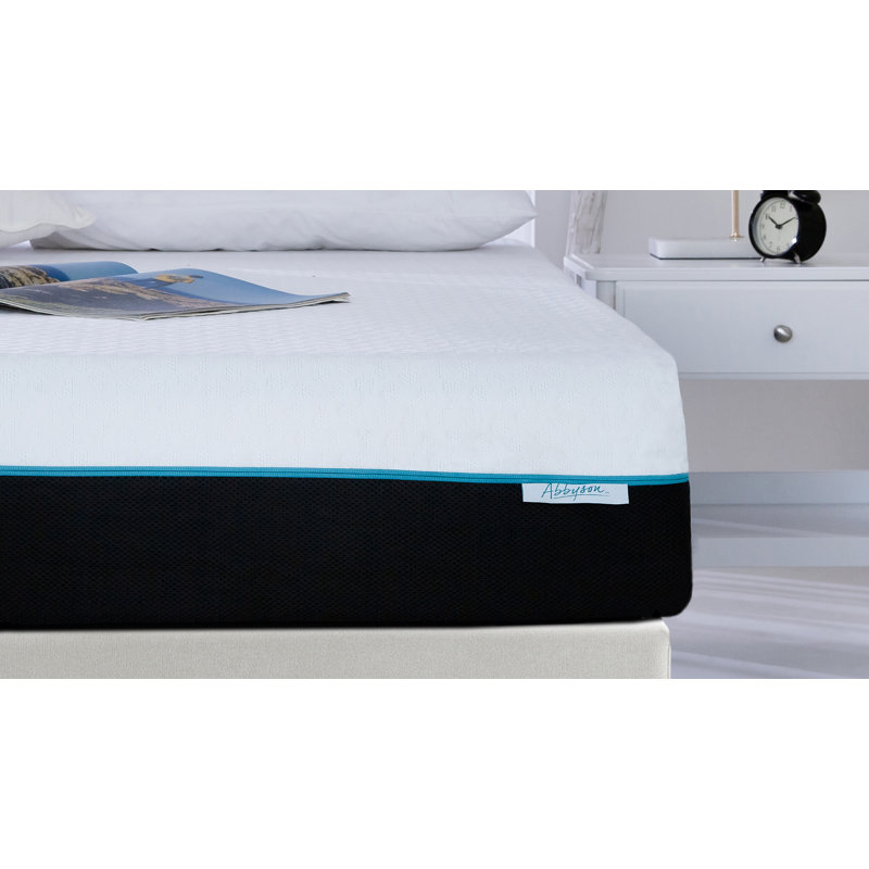 Abbyson Home Abbyson 10" Memory Foam Mattress Queen Wayfair